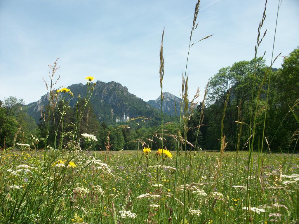 Ferienwohnungen Rexha Schwangau Exterior photo